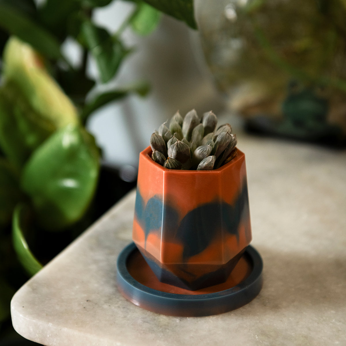A small succulent in a faceted orange and dark blue planter with a matching saucer, placed on a light stone surface with blurred green plants in the background.